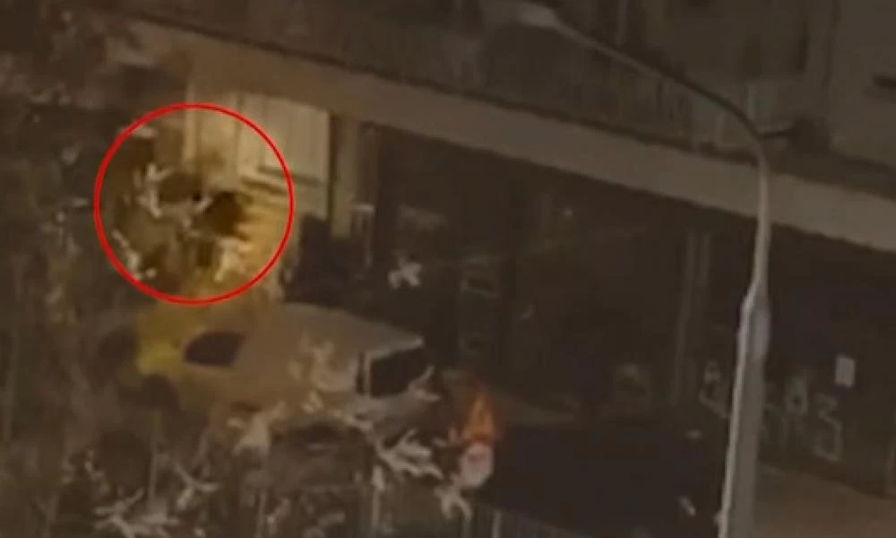 Δολοφονία Άλκη: Με ποιό τρόπο τα τάγματα εφόδου σχεδίασαν την επίθεση